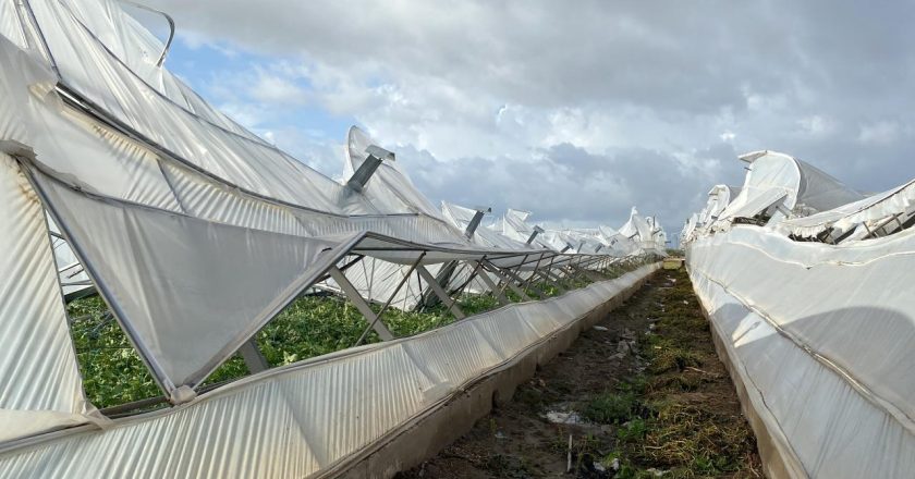 Antalya’da kasırga ve sağanak yağış seralara zarar verdi