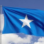 Somali’deki Eş -Şebab’a karşı operasyonda 29 örgütün 29 üyesi nötralize edildi