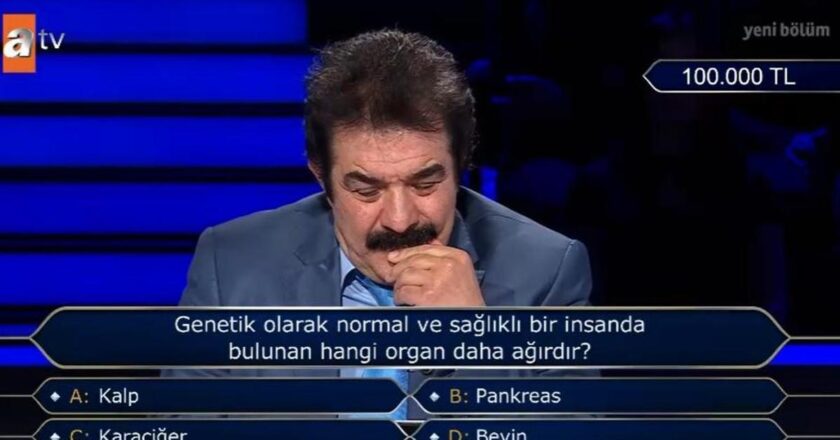 Ciğerin ağırlığı kaç? Hangi organ daha ağırdır? Kalp, Pankreas, Karaciğer, Beyin