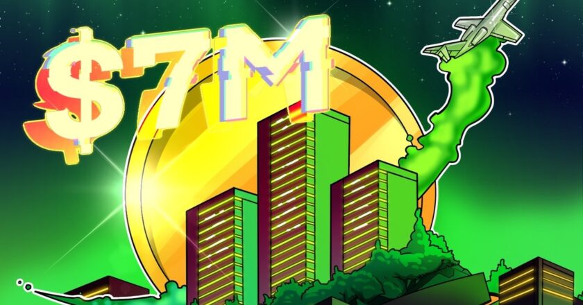 APX fiyatındaki patlama 220.000 dolar yatırımı 7 milyon dolara dönüştürdü