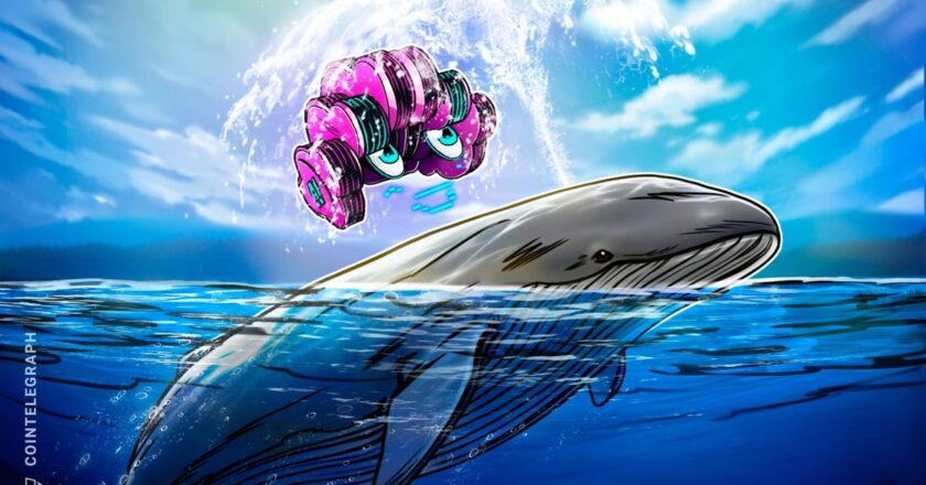 Yapay zeka ile balina hareketlerini herkesten önce tespit etme rehberi