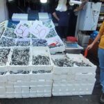 Karadeniz hamsisi tezgahları doldurdu – Bigpara Haberleri