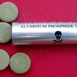 Böcek ailesinin kaldığı otelin sahibi ve çalışanı tutuklandı