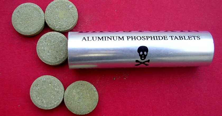 Böcek ailesinin kaldığı otelin sahibi ve çalışanı tutuklandı