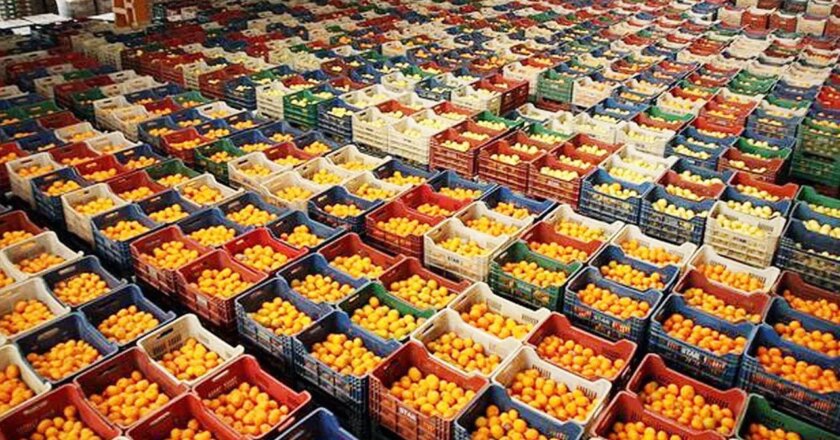 Gürcistan’a gönderilecek zirai ilaç kalıntısı bulunan 6 bin 100 kilogram mandalina imha edildi – Son Dakika Türkiye Haberleri